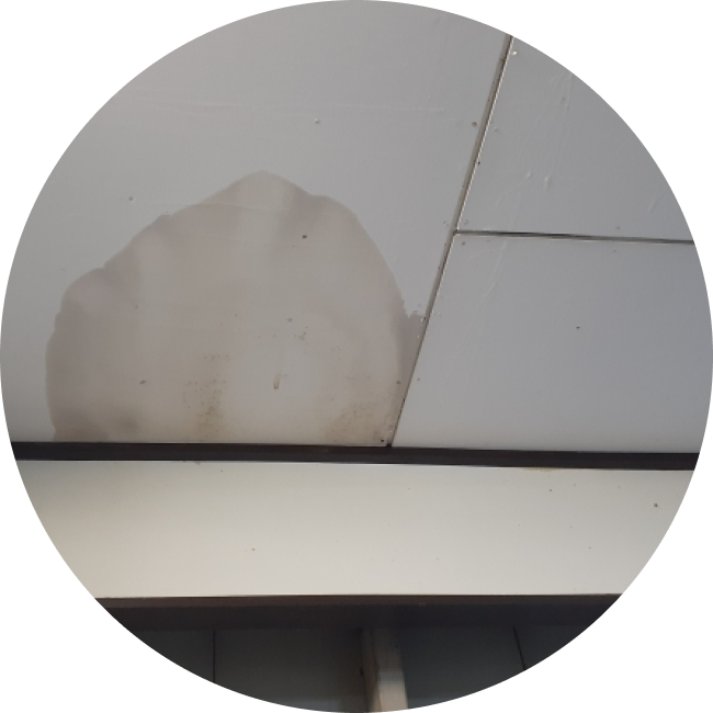 雨漏りが発生している屋根